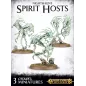 Warhammer Age of Sigmar - Nighthaunt Spirit Hosts