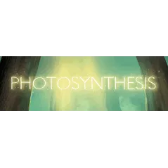 Photosynthesis