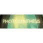 Photosynthesis