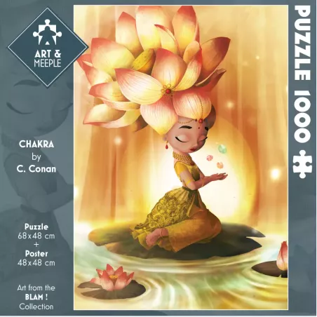 Puzzle - 1000p - Chakra