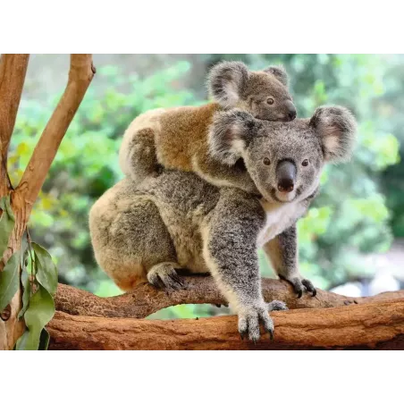 Puzzle - Ravensburger - 200p XXL - La Famille Koala