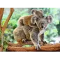 Puzzle - Ravensburger - 200p XXL - La Famille Koala