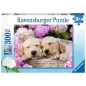 Puzzle - Ravensburger - 300p XXL - Mignons Chiots dans la Corbeille