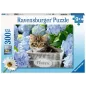 Puzzle - Ravensburger - 300p XXL - Petit Chaton