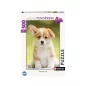 Puzzle - Nathan - 500p - Adorable Corgi