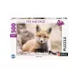 Puzzle - Nathan - 500p - Petit renard