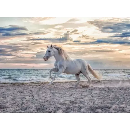 Puzzle - Ravensburger - 500p - Cheval sur la plage