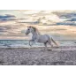 Puzzle - Ravensburger - 500p - Cheval sur la plage