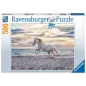 Puzzle - Ravensburger - 500p - Cheval sur la plage