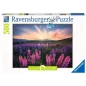 Puzzle - Ravensburger - 500p - Les lupins (Nature edition)