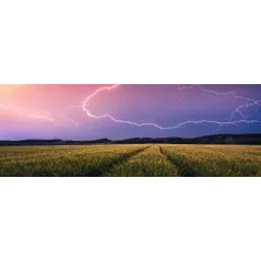 Puzzle - Ravensburger - 500p - Orage d'été (Nature edition)