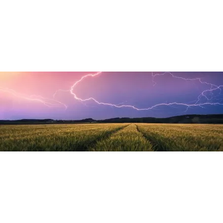 Puzzle - Ravensburger - 500p - Orage d'été (Nature edition)