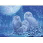 Puzzle Star Line - Ravensburger - 500p - Chouettes au clair de lune