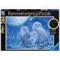 Puzzle Star Line - Ravensburger - 500p - Chouettes au clair de lune