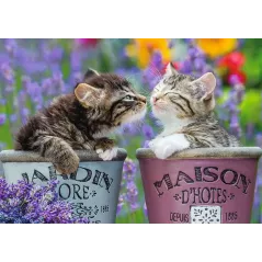 Puzzle - Nathan - 1000p - Bisous de chatons