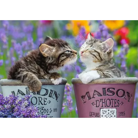 Puzzle - Nathan - 1000p - Bisous de chatons