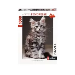 Puzzle - Nathan - 1000p - Le chaton Maine Coon