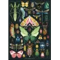 Puzzle - Nathan - 1000p - Rebecca Romeo - Les insectes