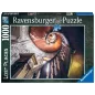 Puzzle - Ravensburger - 1000p - Escalier en colimaçon (Lost Places)