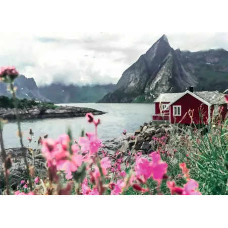 Puzzle - Ravensburger - 1000p - Reine Lofoten - Norvège (Puzzle Highlights Îles de rêve)