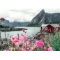 Puzzle - Ravensburger - 1000p - Reine Lofoten - Norvège (Puzzle Highlights Îles de rêve)