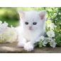 Puzzle - Ravensburger - 1500p - Chaton Blanc