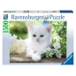 Puzzle - Ravensburger - 1500p - Chaton Blanc