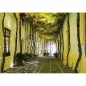 Puzzle - 1000p - Ruelle Andalouse