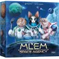 MLEM Space Agency