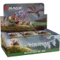 MTG - Display Play -  Bloomburrow